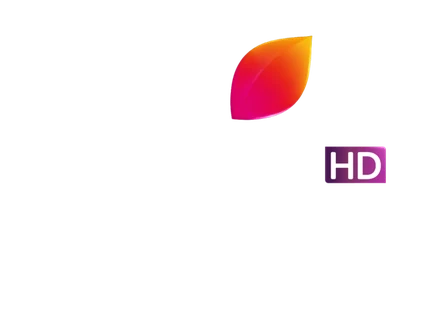 Colors Marathi logo