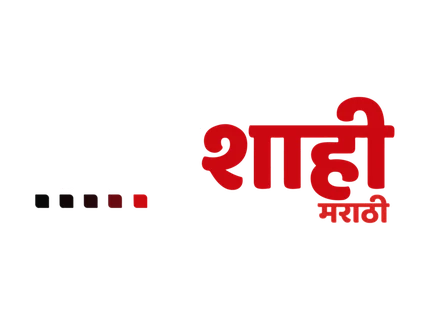 Lokshahi News logo