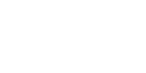 Car Chase logo