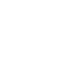 Lone Star logo