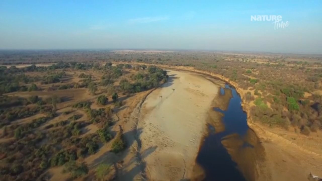 NatureTime channel preview