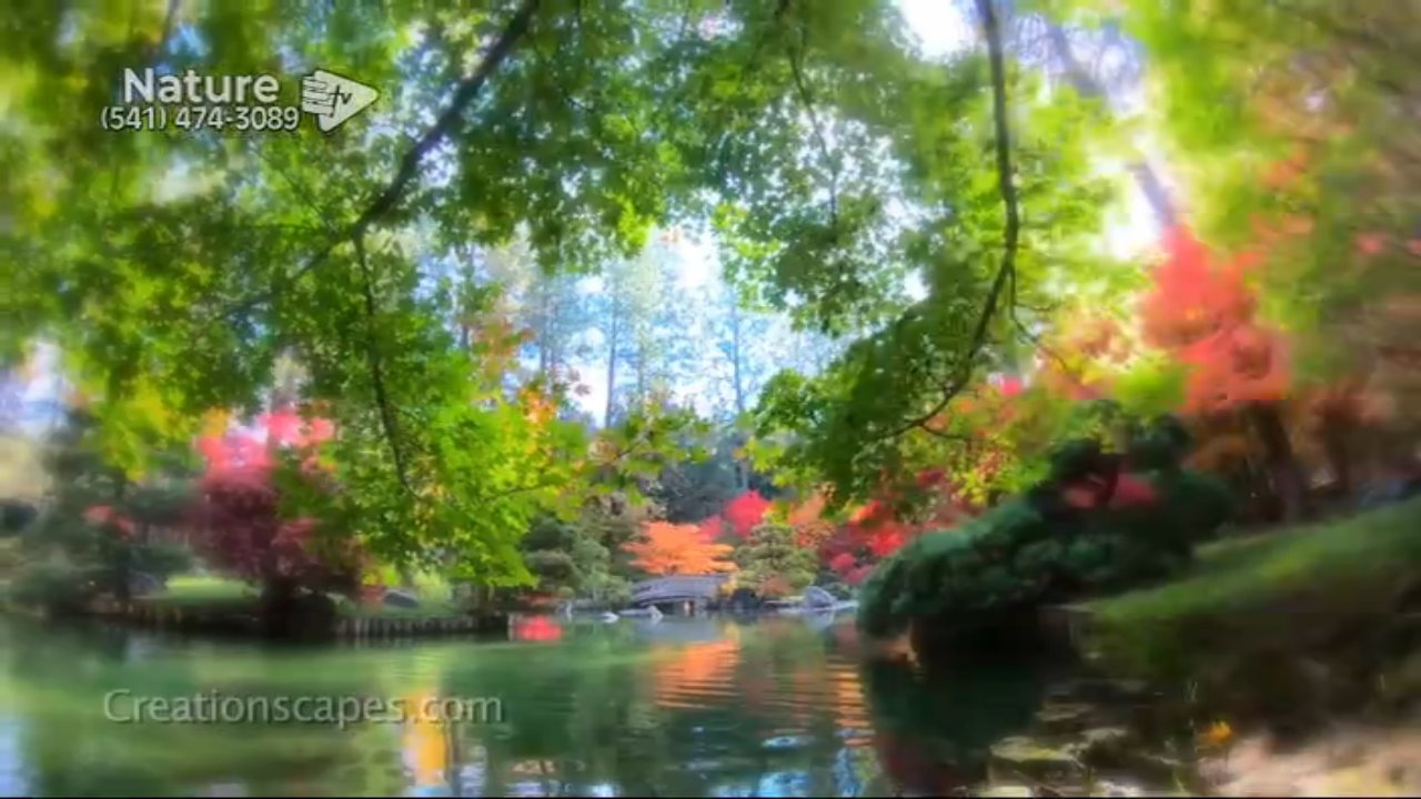 Better Life Nature Channel channel preview
