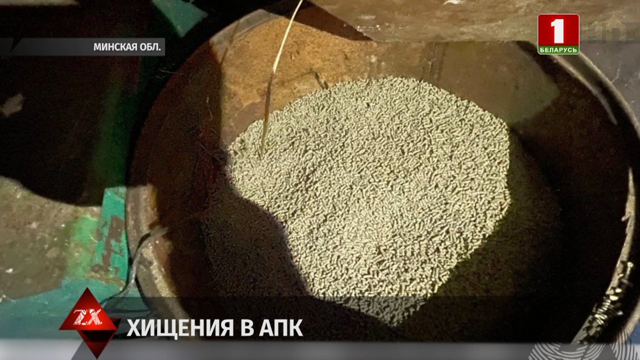 Belarus-1 channel preview