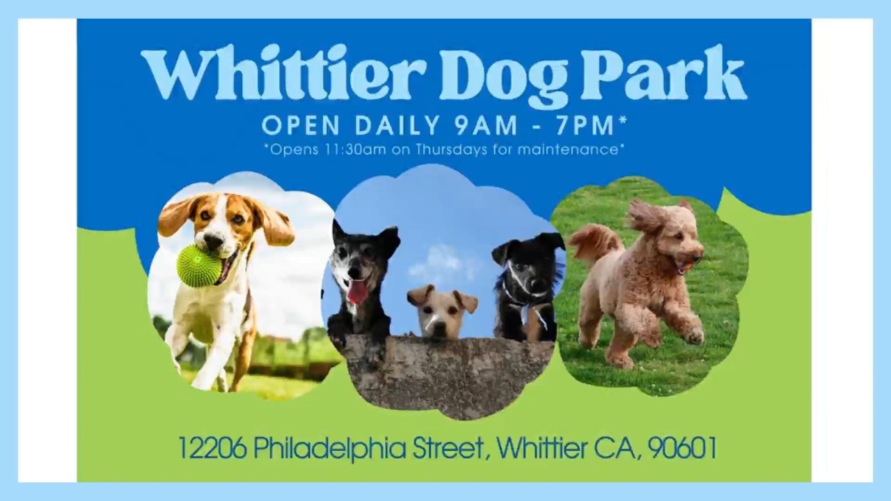CityTV Whittier channel preview