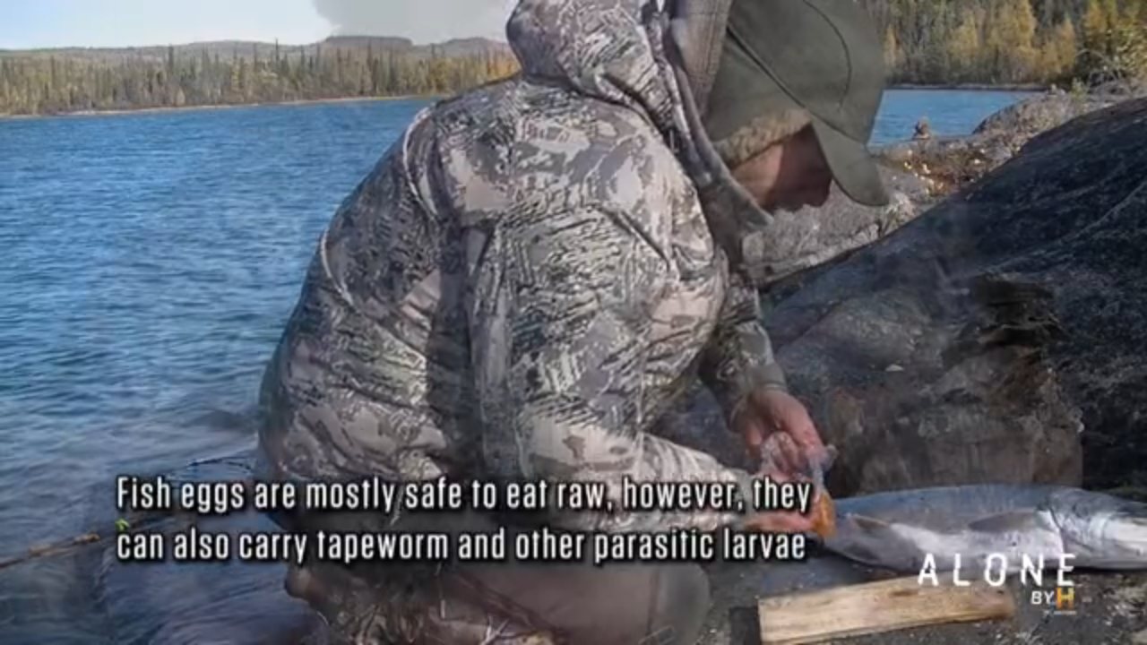 Alone By History channel preview