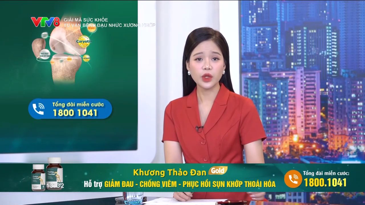 VTV8 channel preview