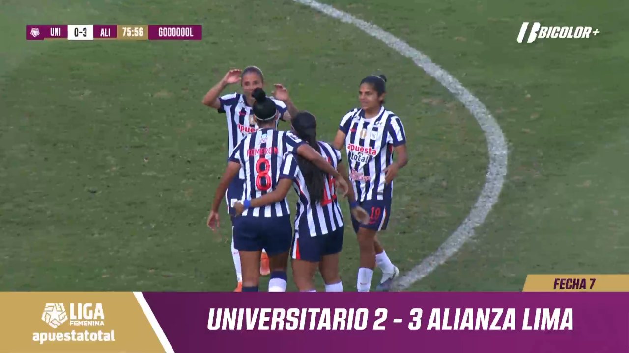 Juntos TV channel preview