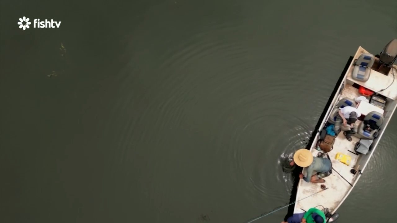 Fish TV channel preview