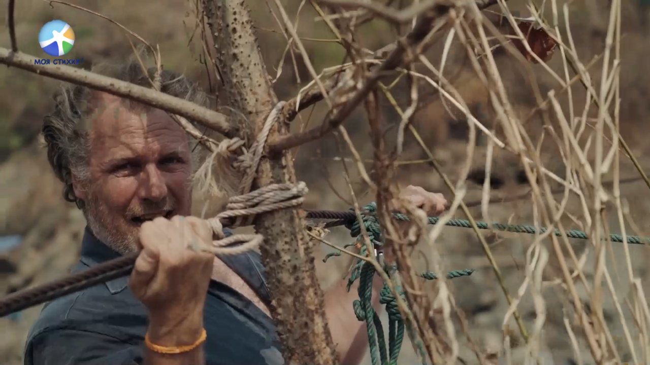 Moya stikhiya channel preview