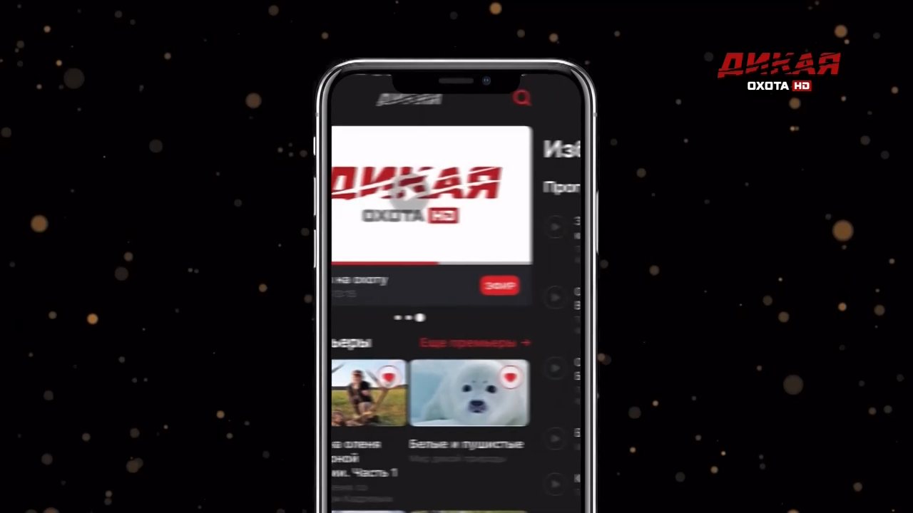 Dikaya okhota channel preview