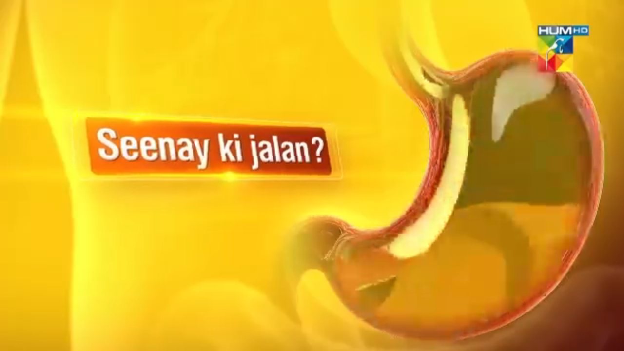 Hum TV channel preview