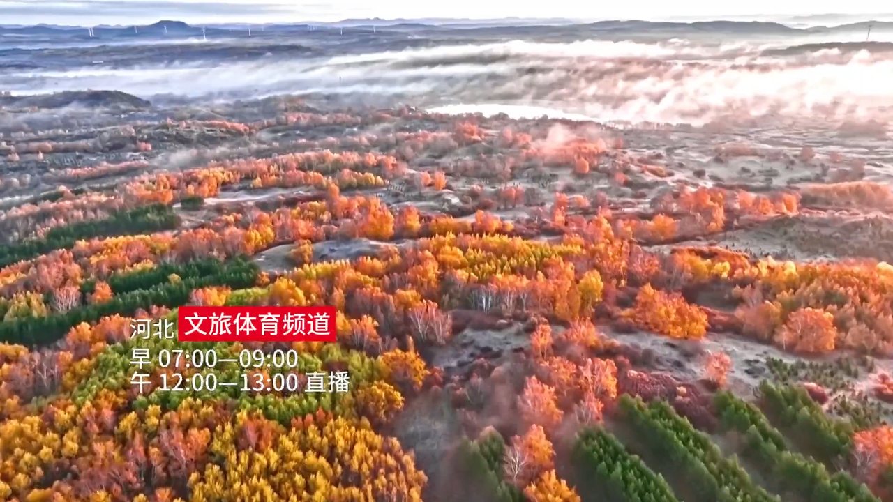 Hebei TV channel preview
