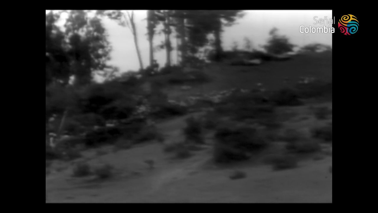Senal Colombia channel preview