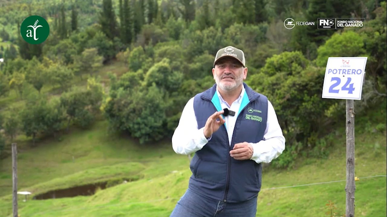 Agrotendencia TV channel preview