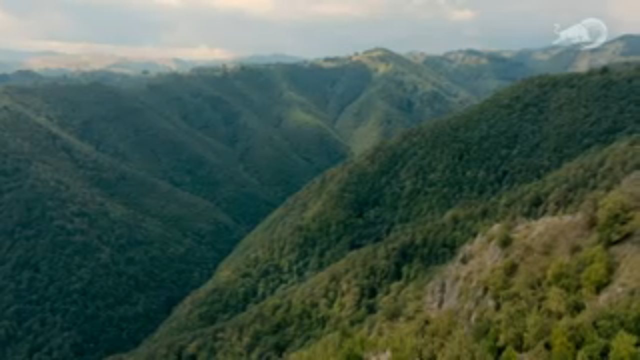 Red Bull TV channel preview
