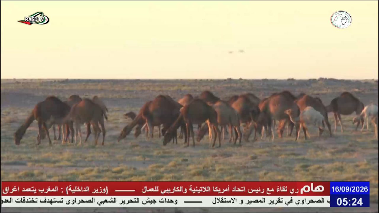 RASD TV channel preview