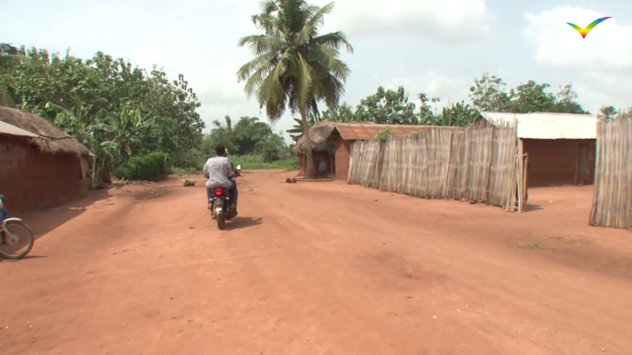 Francophonie24 channel preview