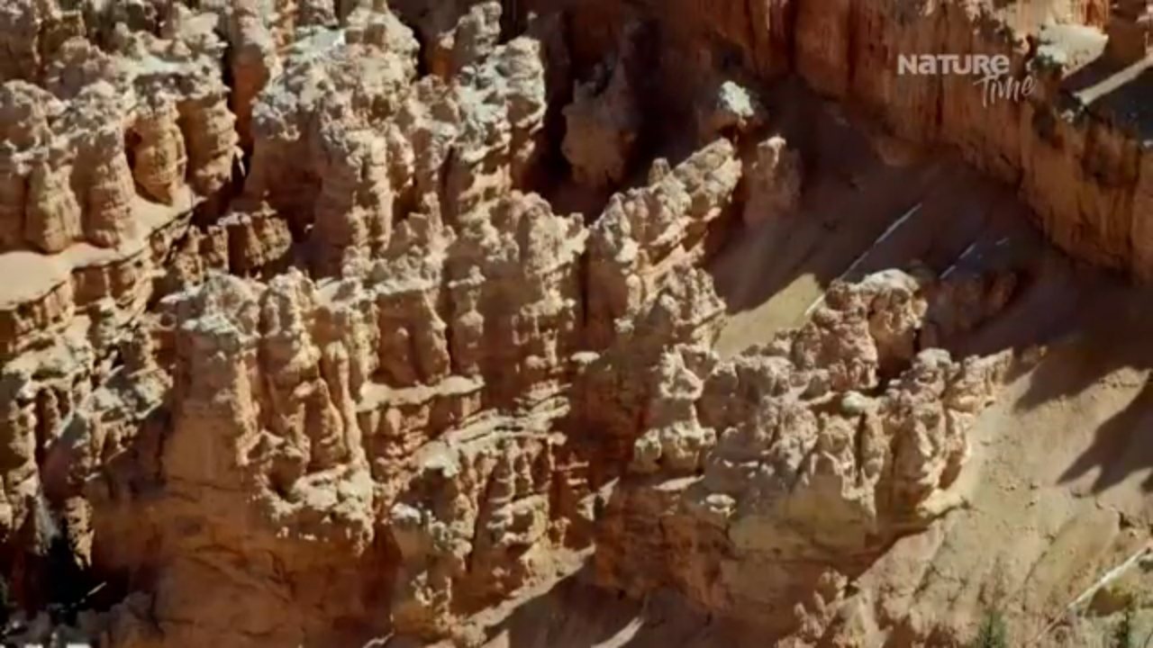 NatureTime channel preview