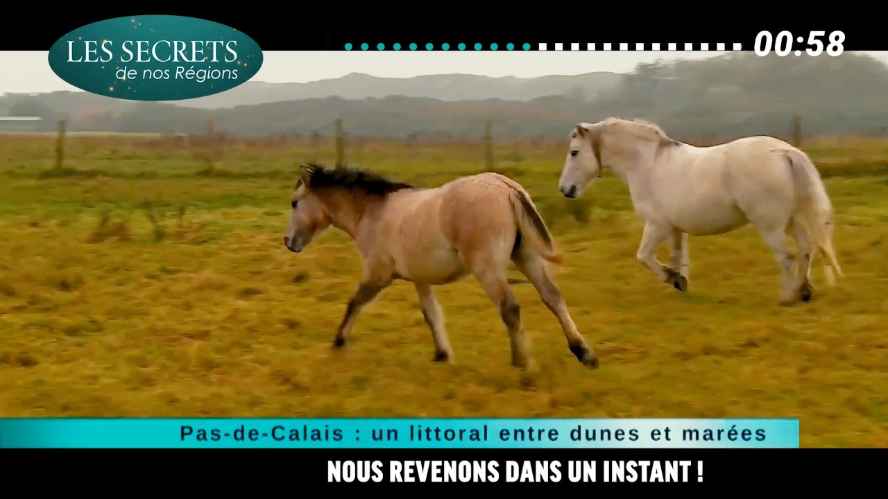 Les Secrets de Nos Régions channel preview