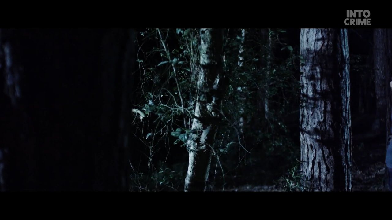 Into Crime channel preview