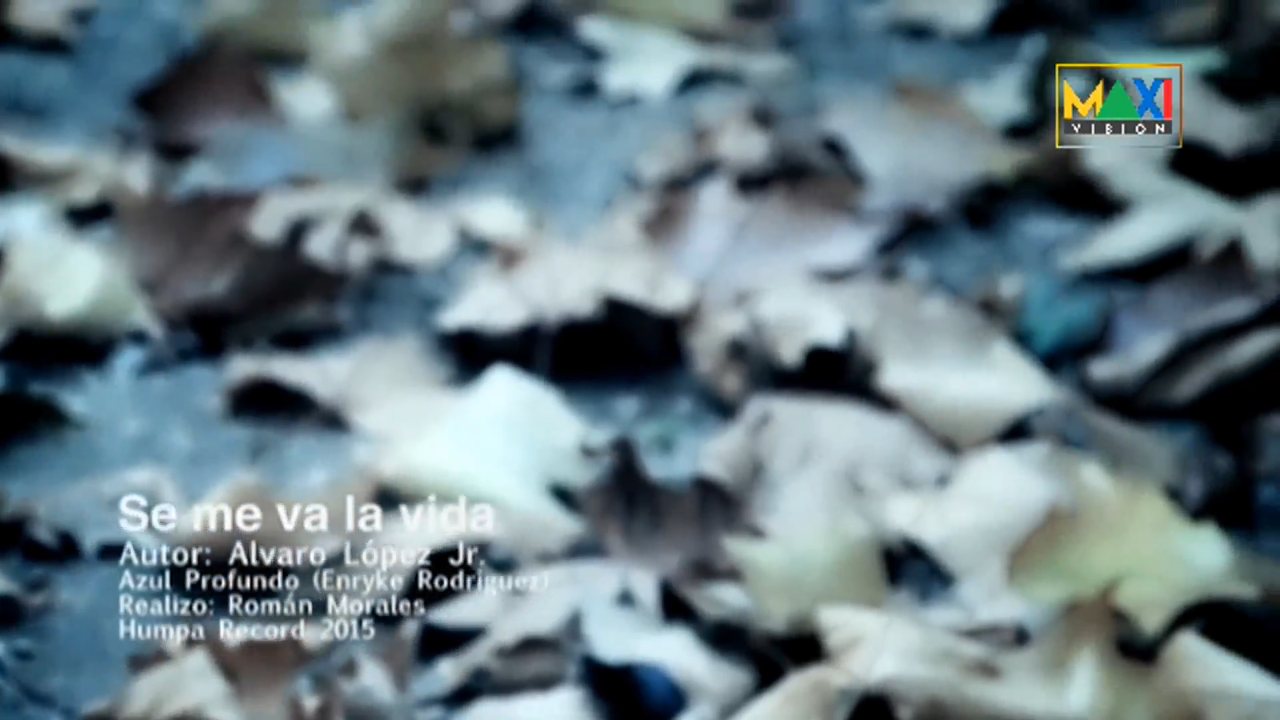 Maxivision TV channel preview