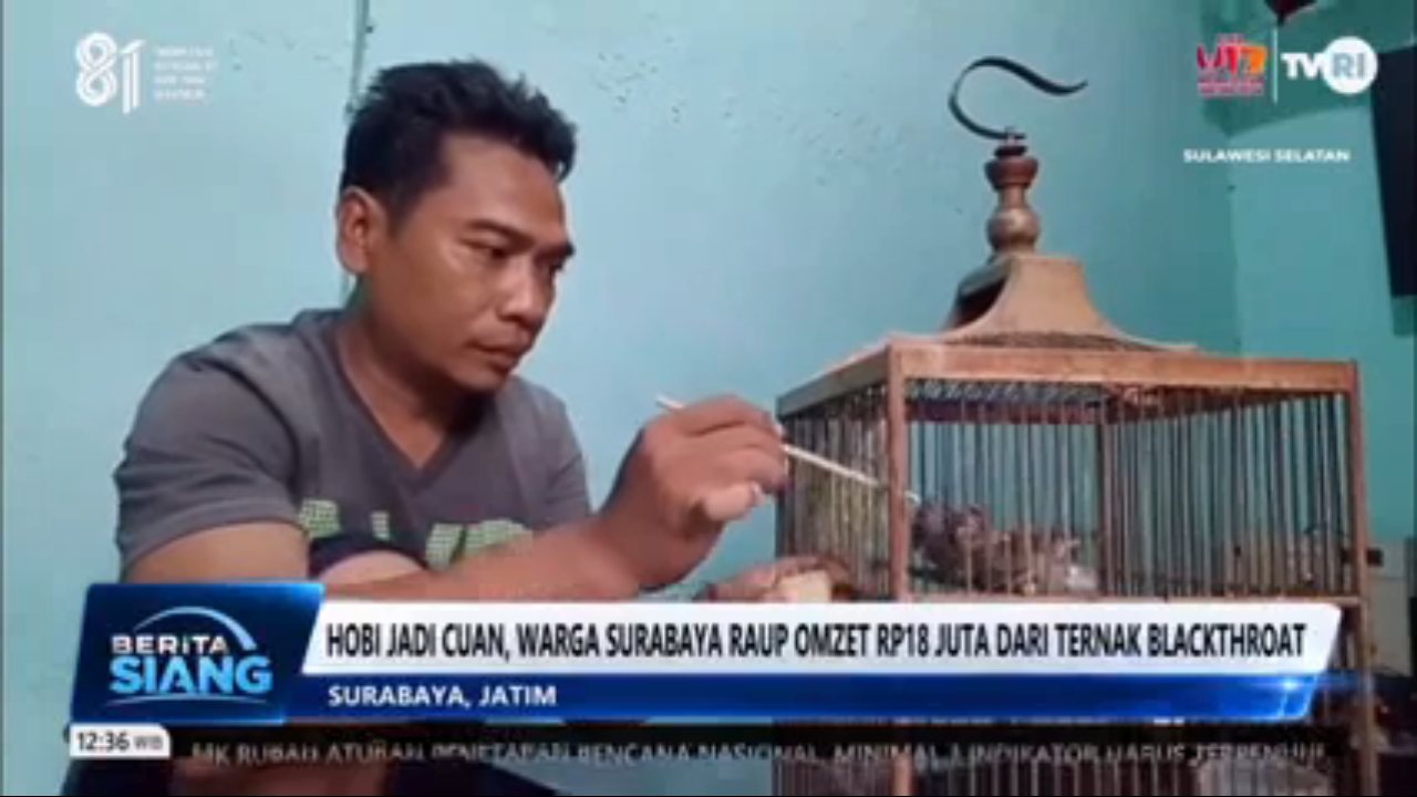 TVRI channel preview