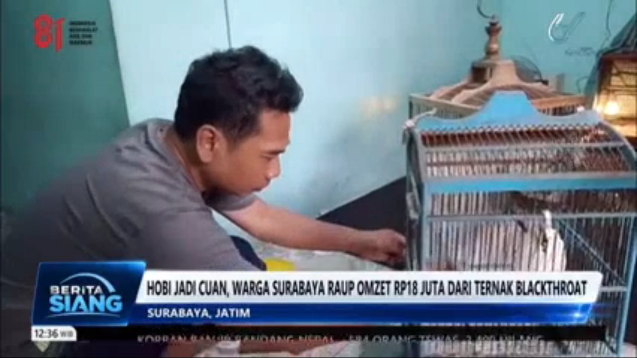 TVRI channel preview