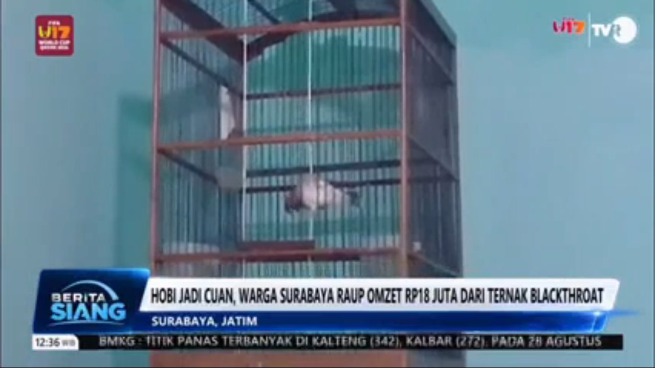 TVRI channel preview