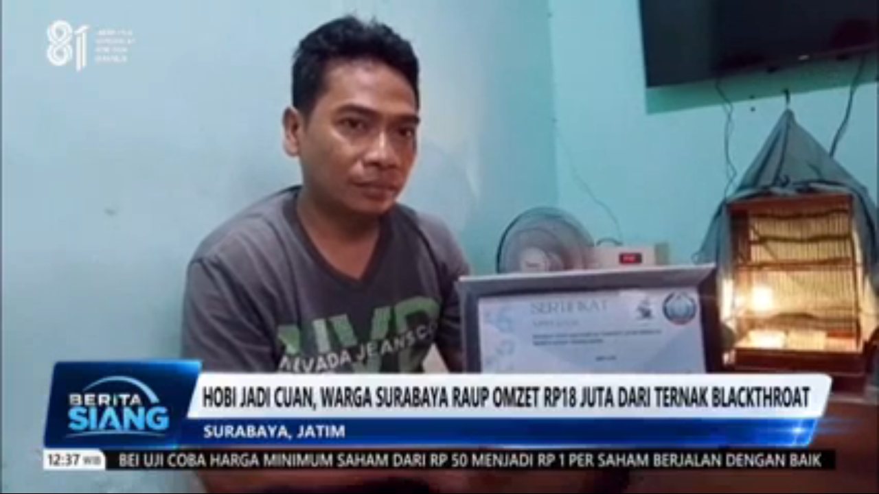 TVRI channel preview