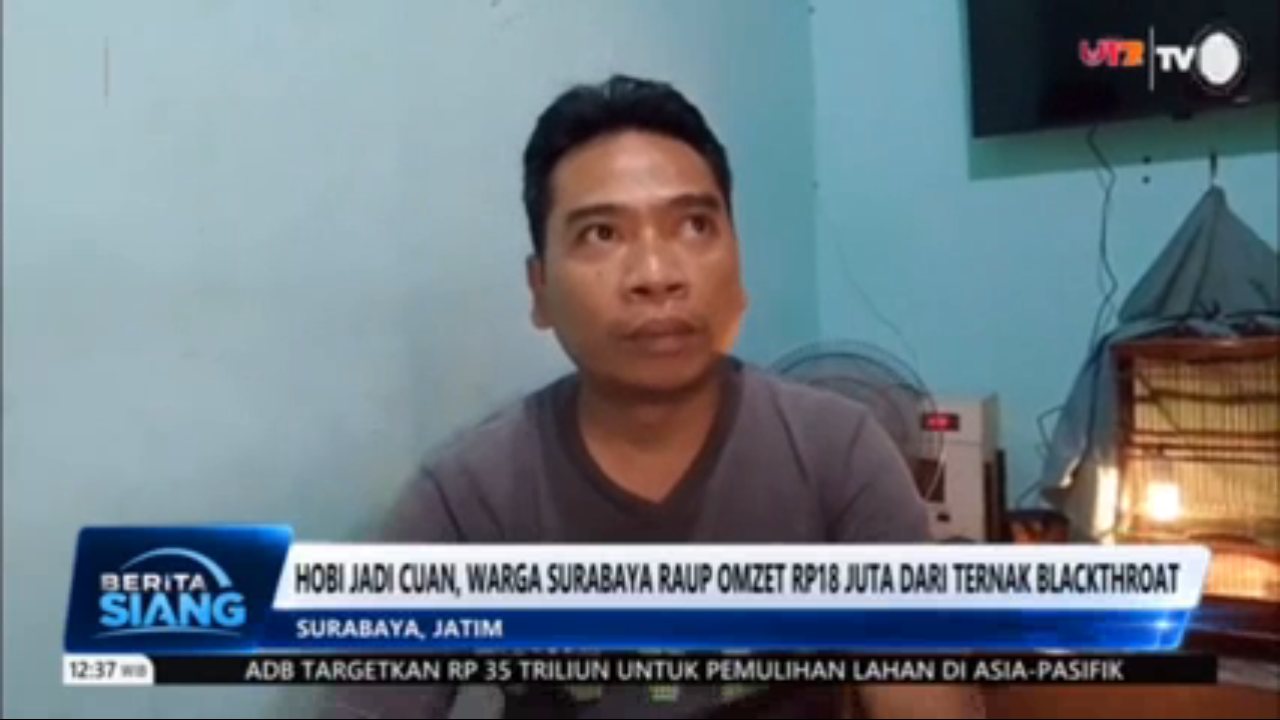 TVRI channel preview