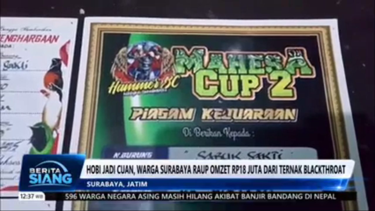 TVRI channel preview