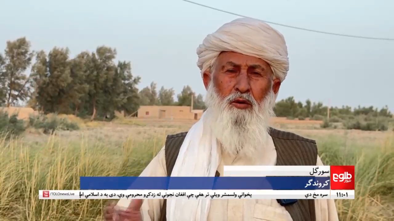 TOLOnews channel preview