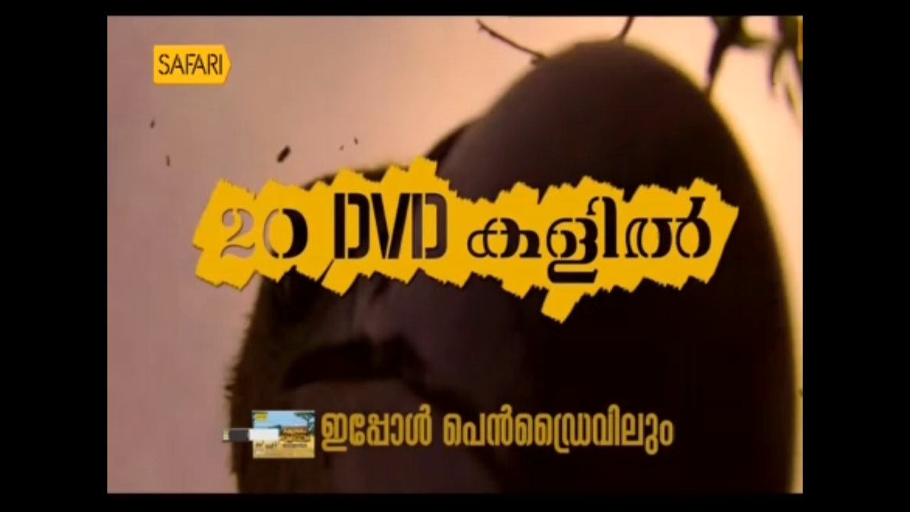 Safari TV channel preview