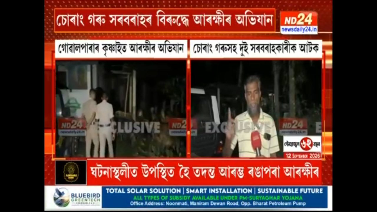 News Daily 24 channel preview