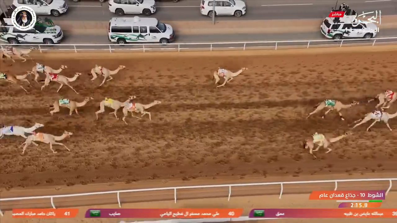 Bahrain Sports 1 channel preview