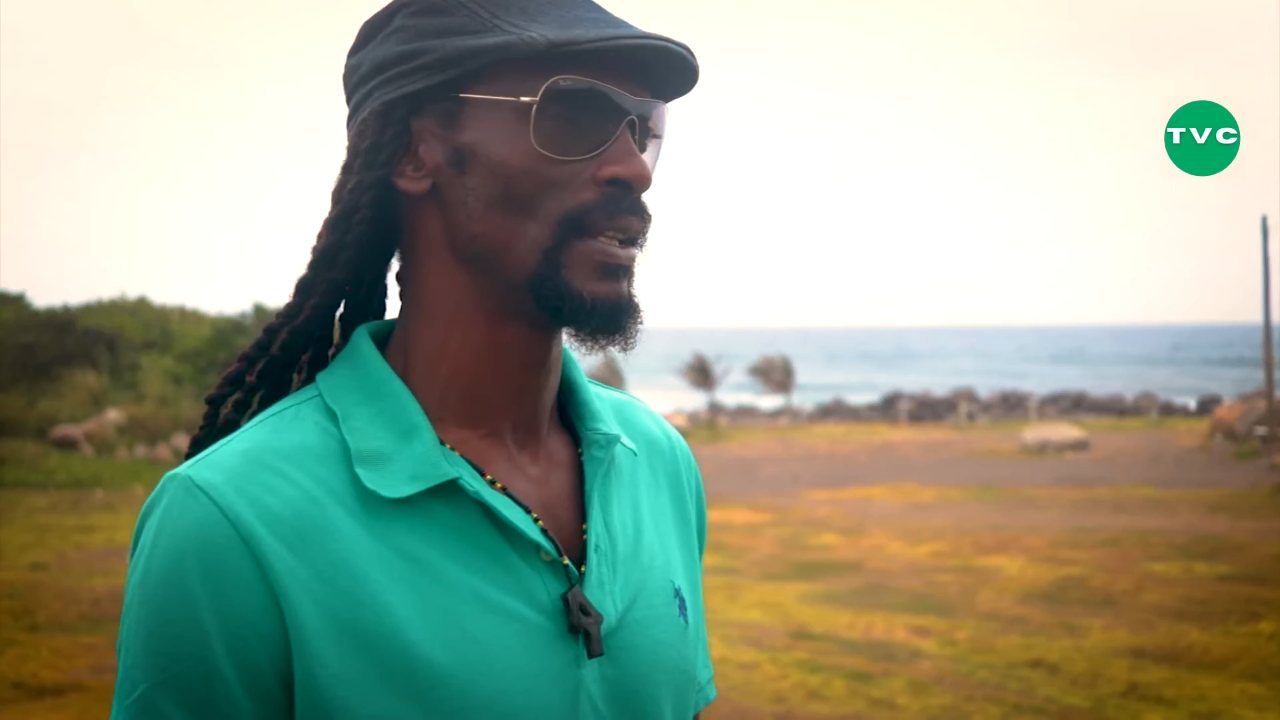Television Caribbean channel preview