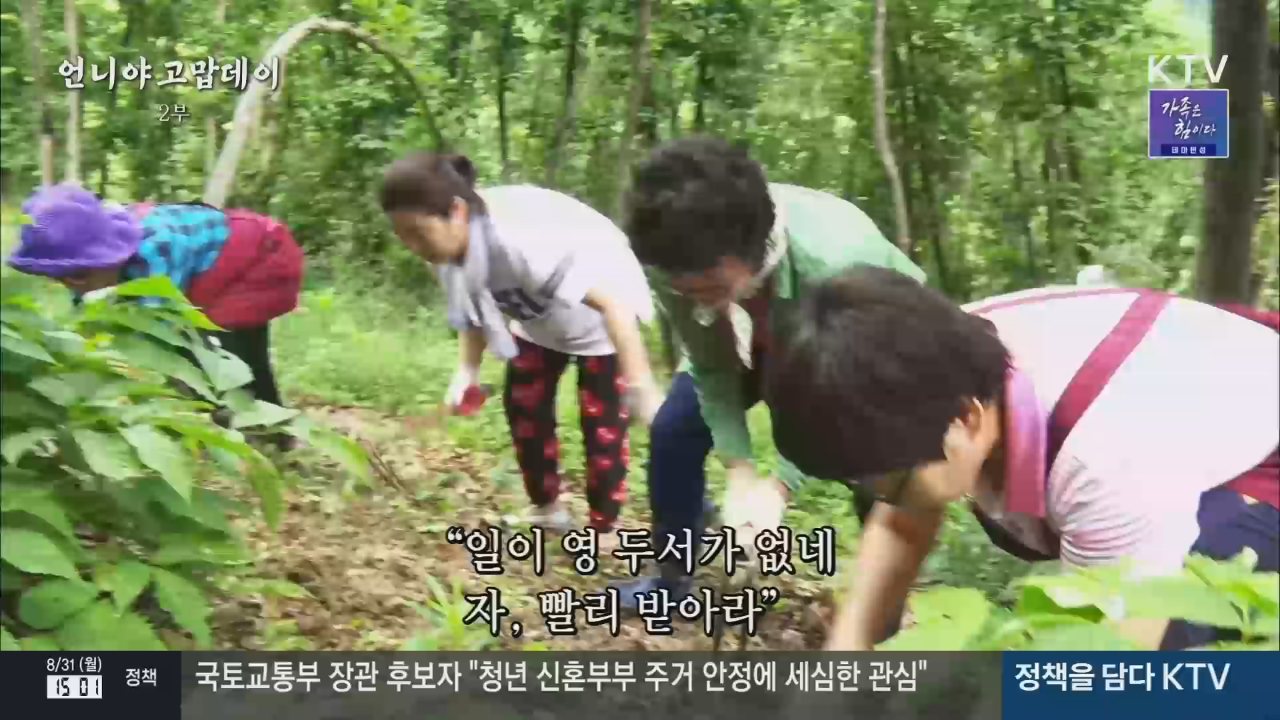 KTV channel preview