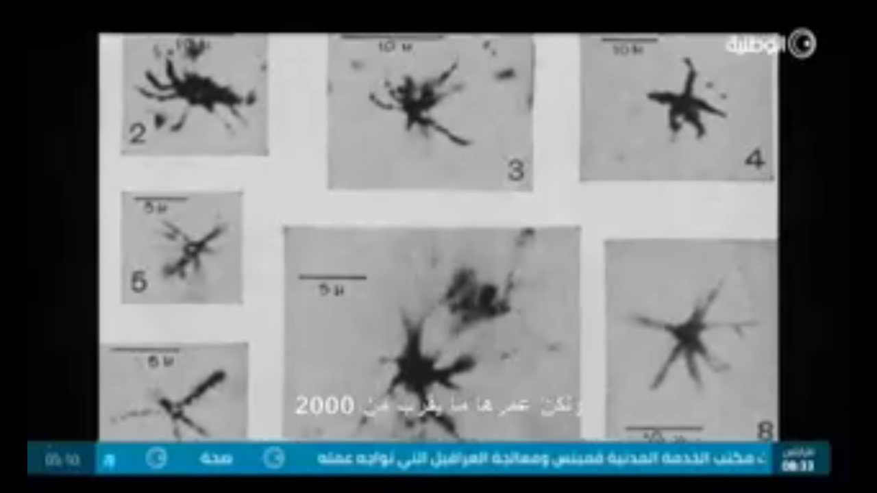 Libya Al Wataniya channel preview