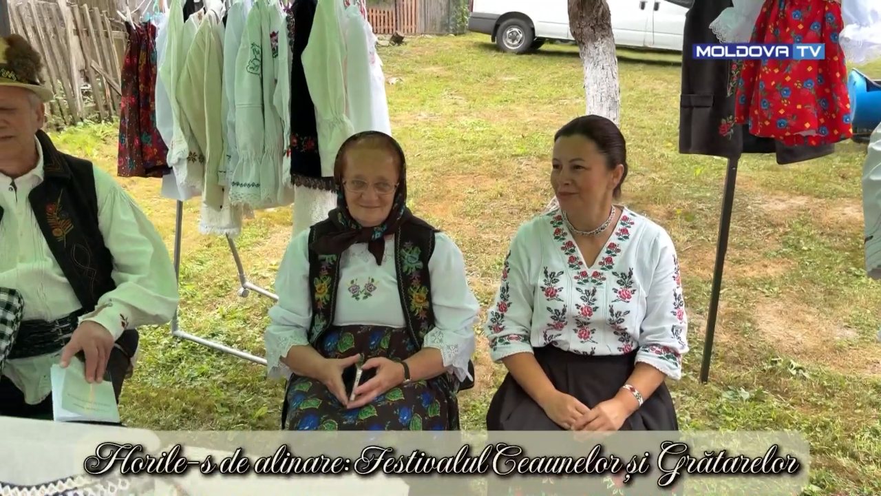 Moldova TV channel preview