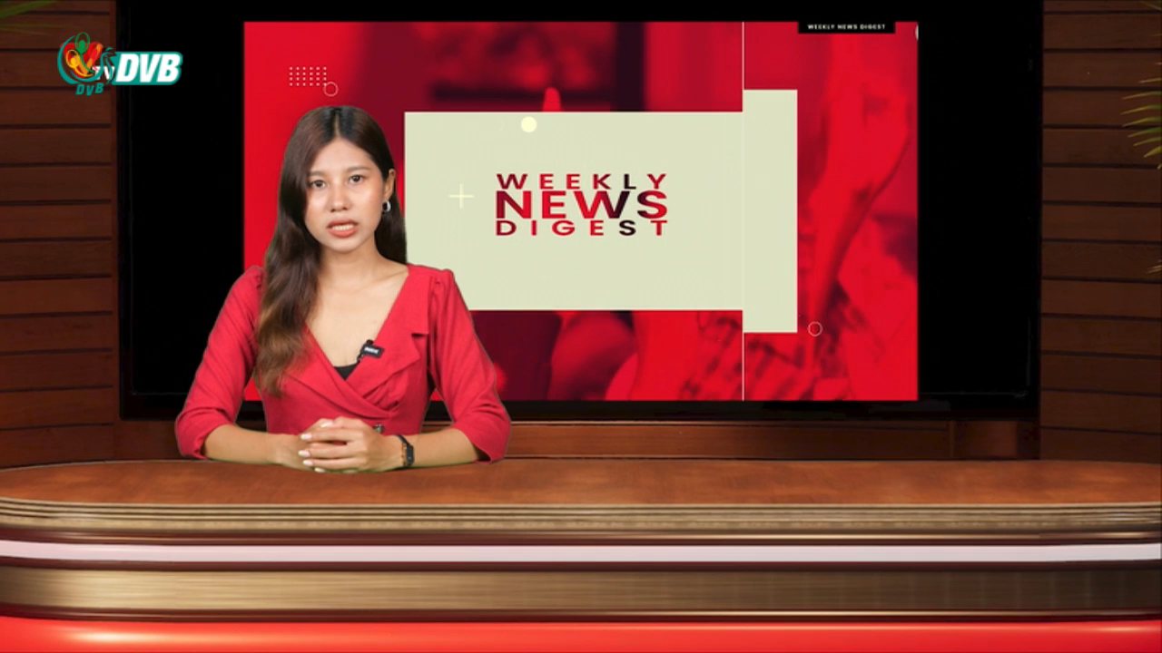 DVB TV channel preview