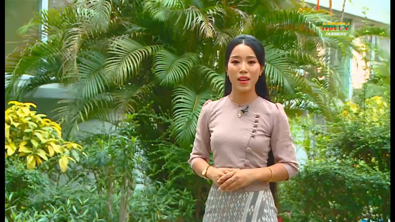 MRTV Farmer channel preview