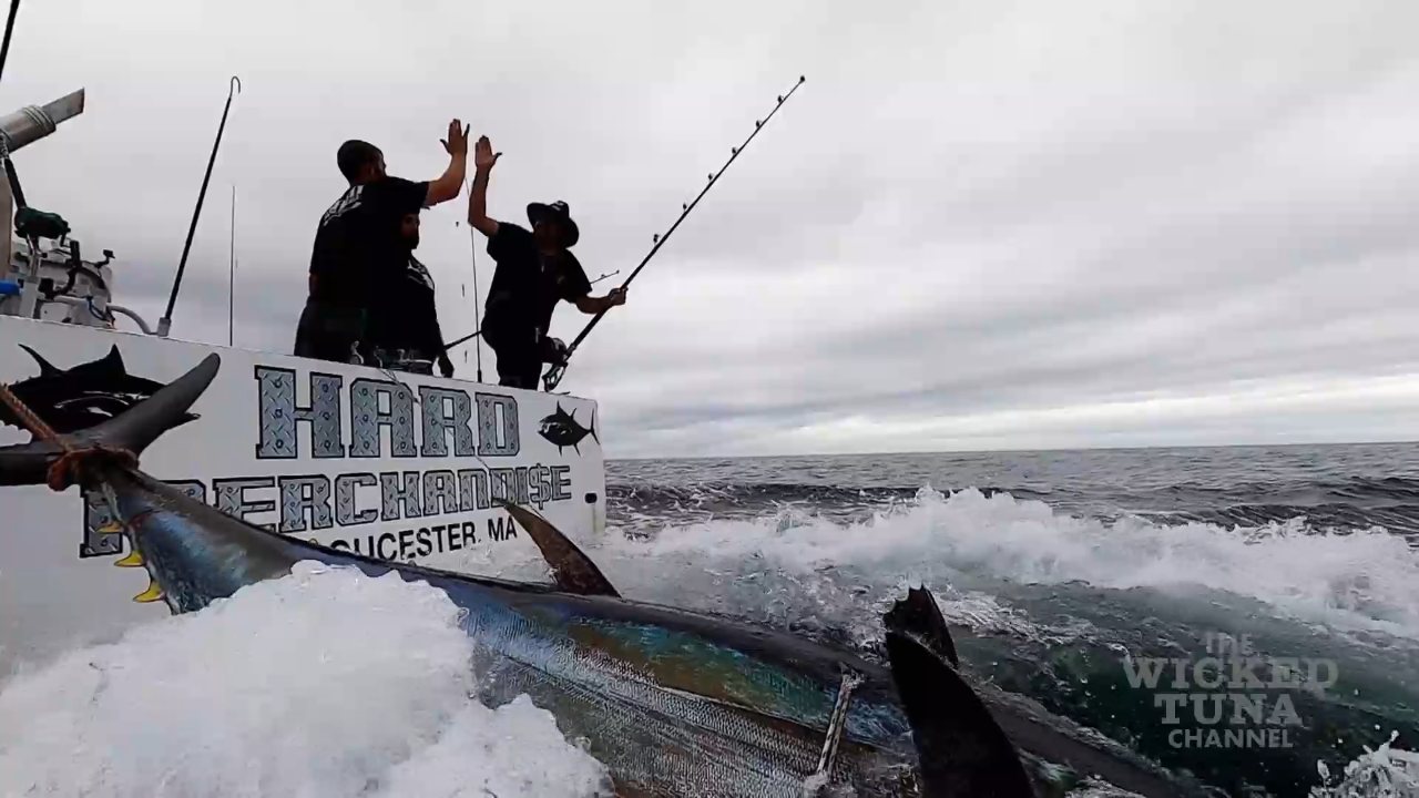 Wicked Tuna channel preview