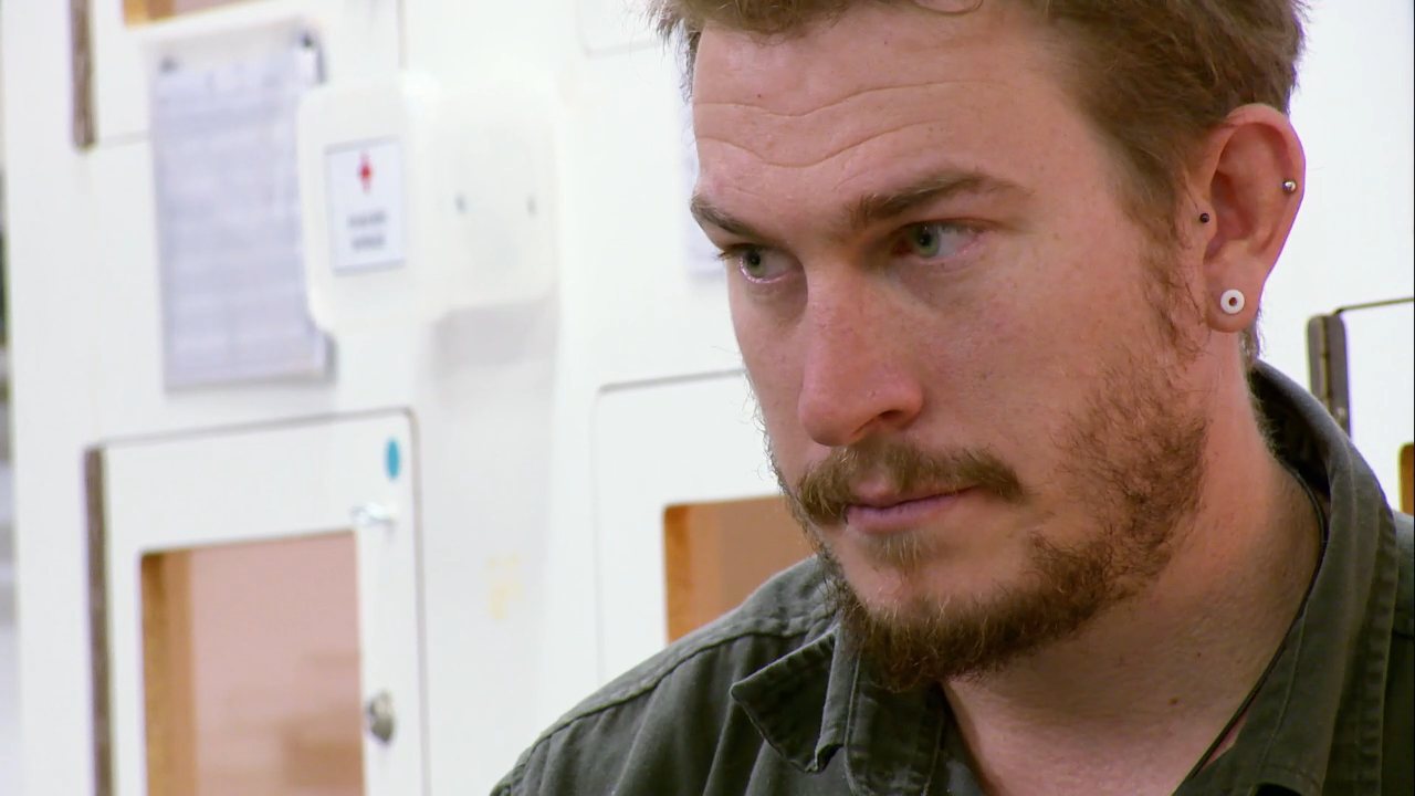 Life Downunder channel preview