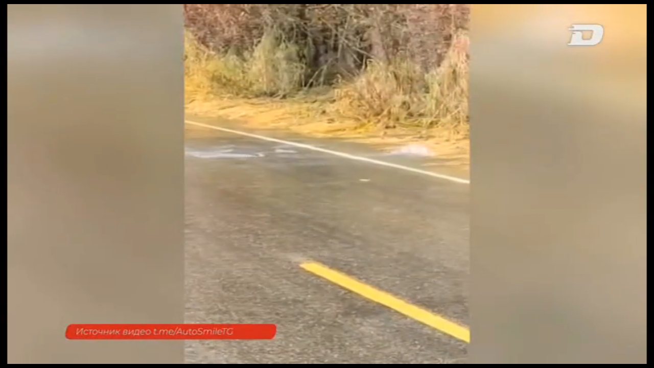 Drive channel preview